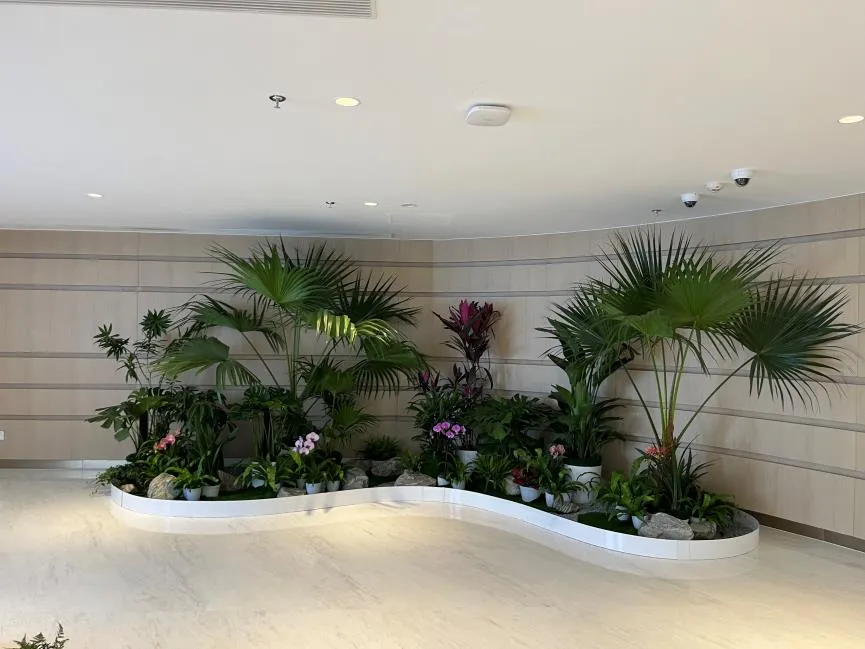 海曙盆景出租服务好 海曙盆景出租服务好